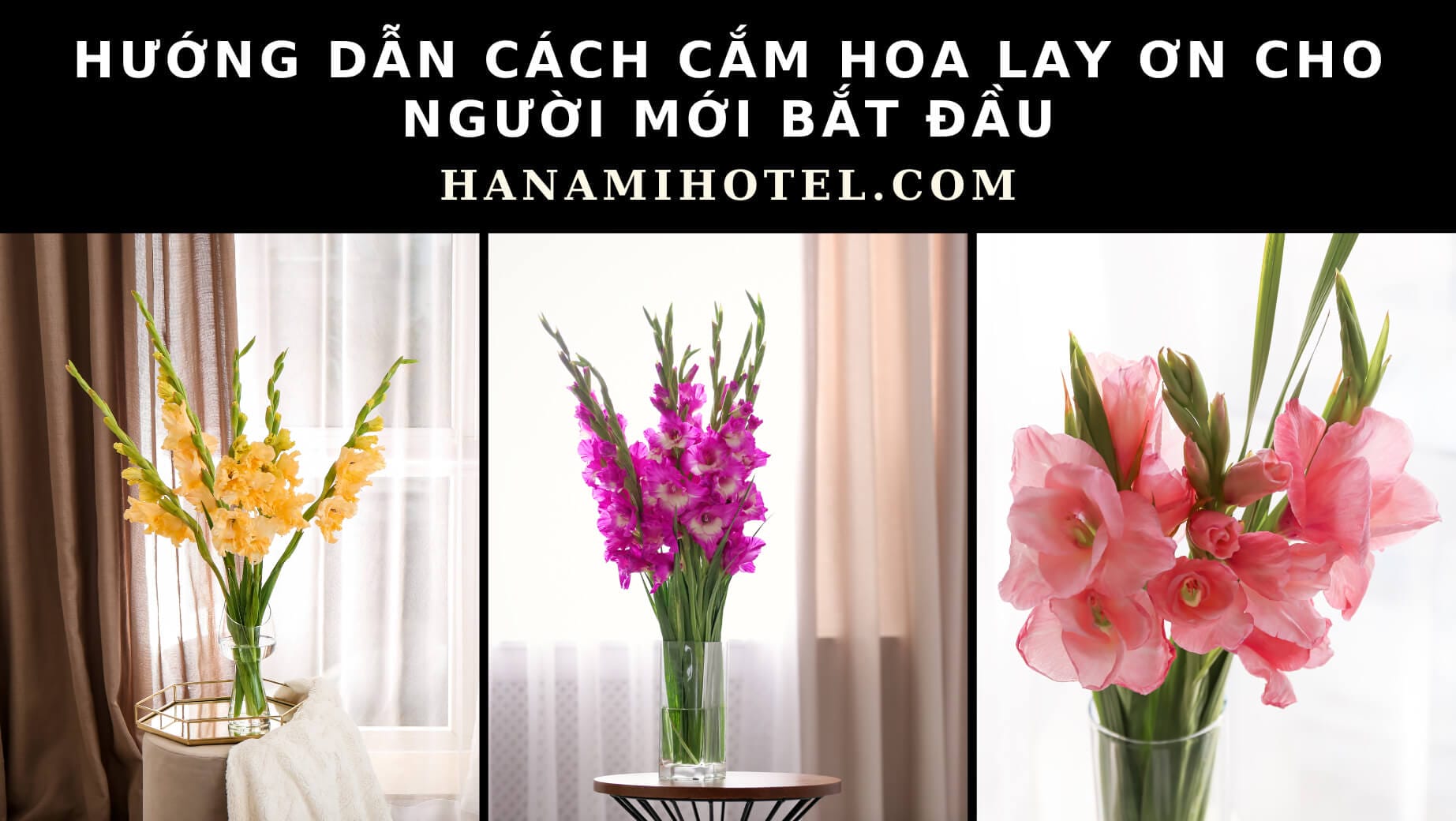cách cắm hoa lay ơn