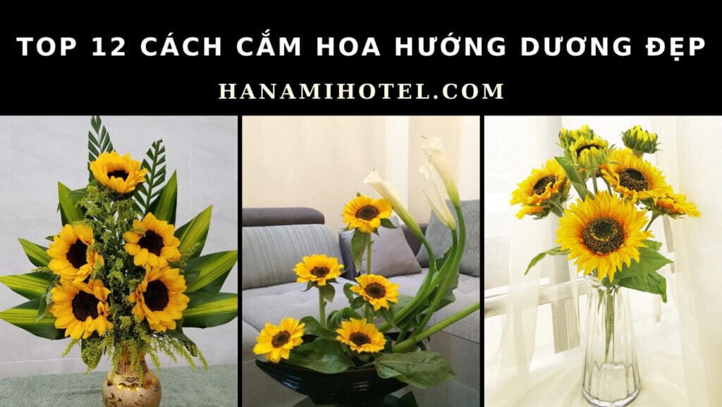 Cách cắm hoa hướng dương đẹp