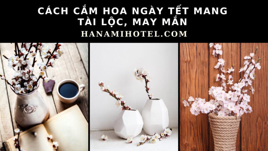 cách cắm hoa ngày tết