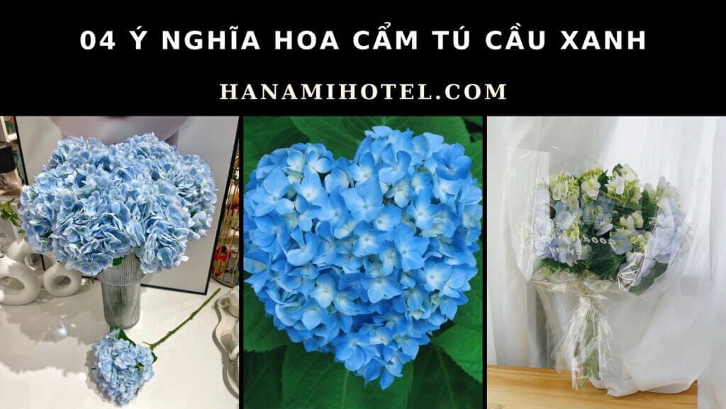 ý nghĩa hoa cẩm tú cầu xanh