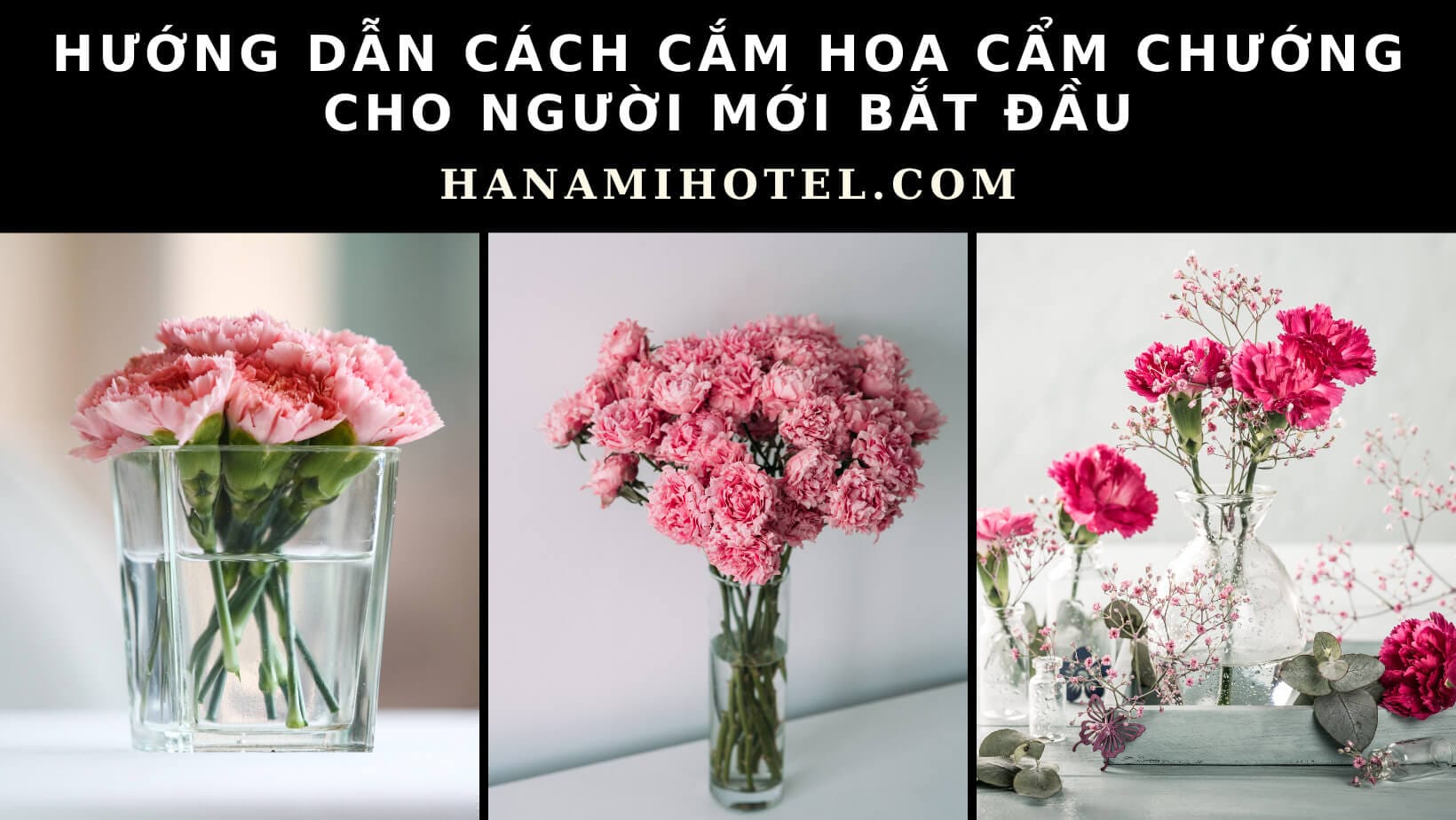 hướng dẫn cách cắm hoa cẩm chướng