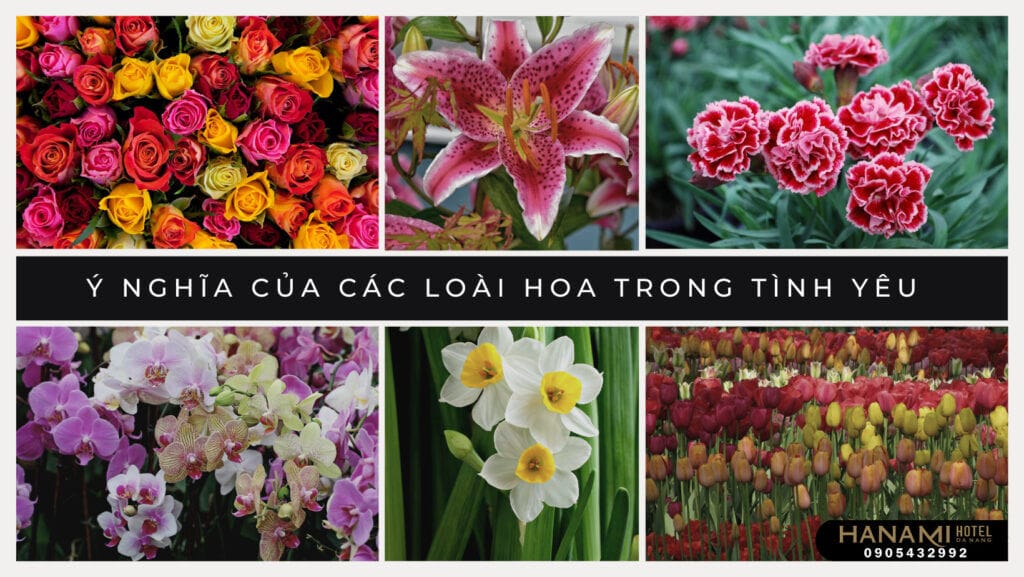 ý nghĩa của các loài hoa trong tình yêu