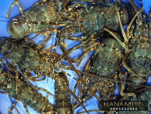 addresses to buy Alaska lobsters in Da Nang