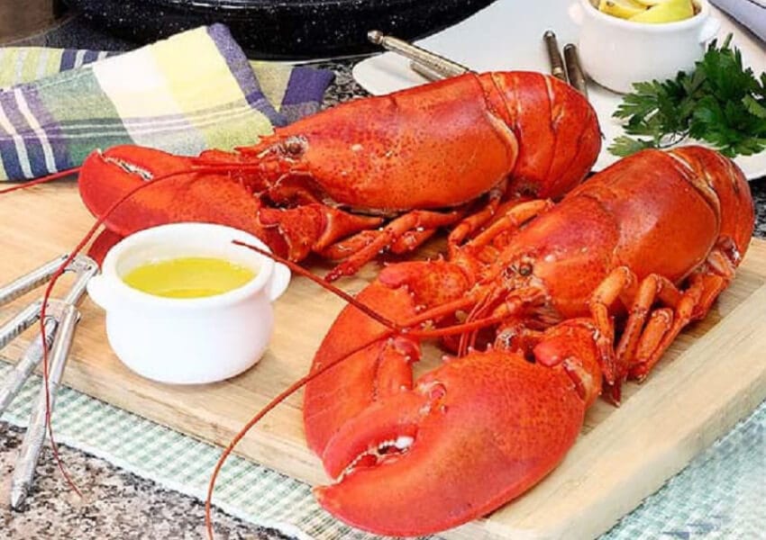 addresses to buy Alaska lobsters in Da Nang