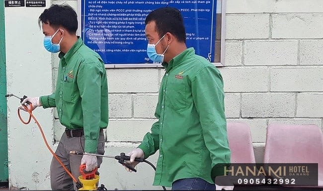 ant extermination services in da nang