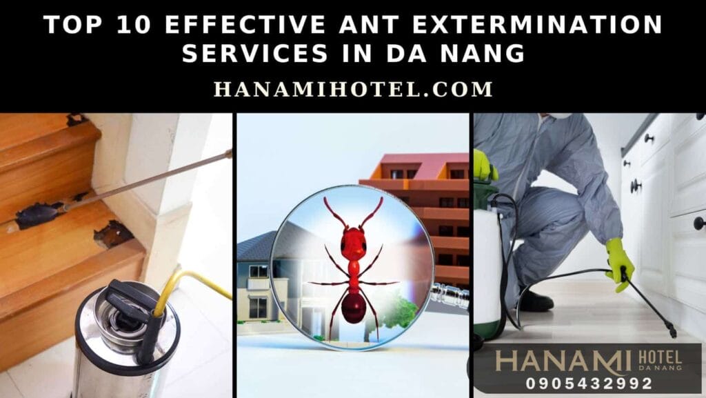 ant extermination services in da nang