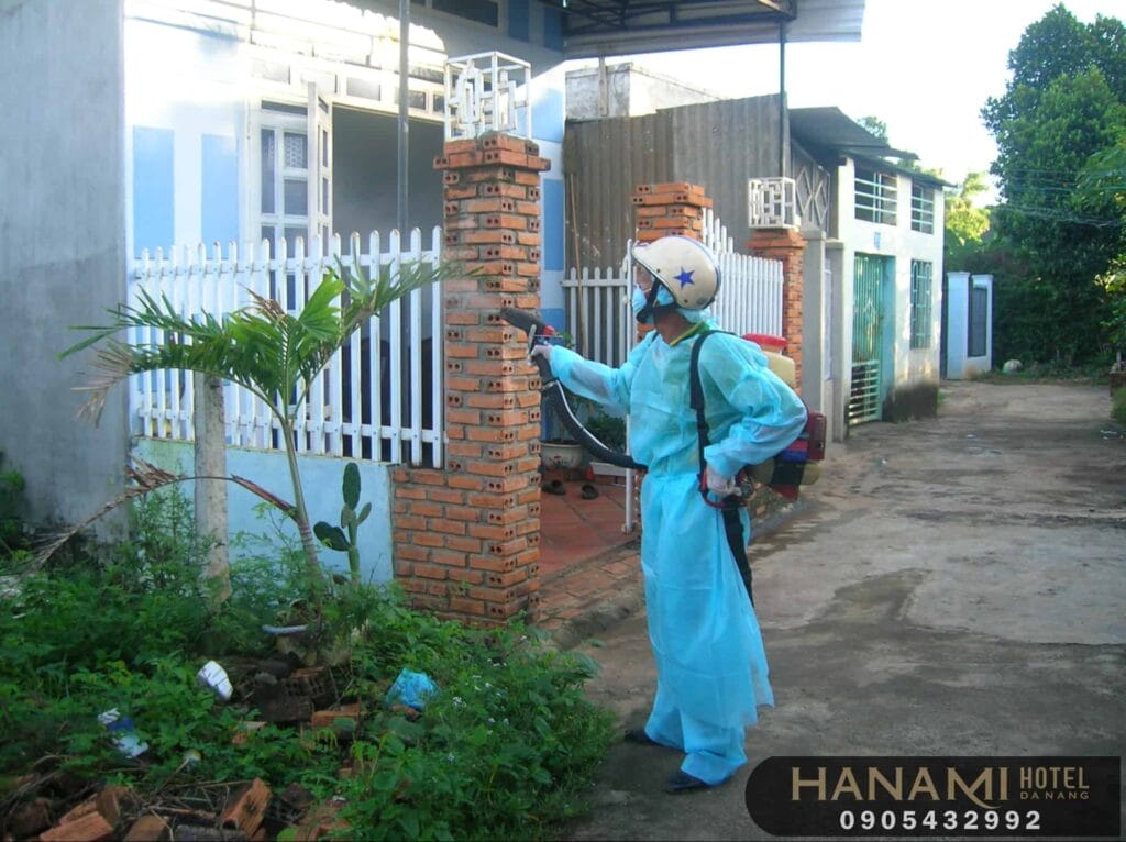 ant extermination services in da nang 