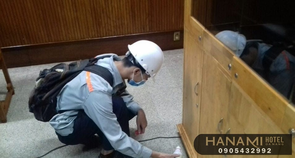 ant extermination services in da nang 