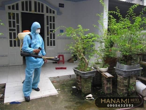 ant extermination services in da nang 