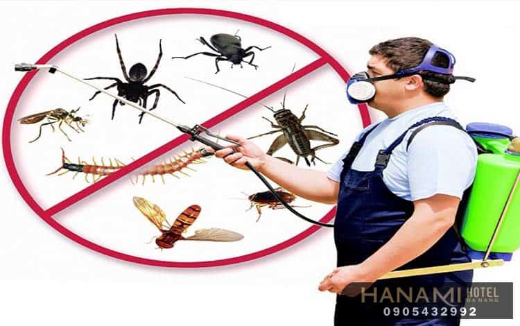 ant extermination services in da nang 