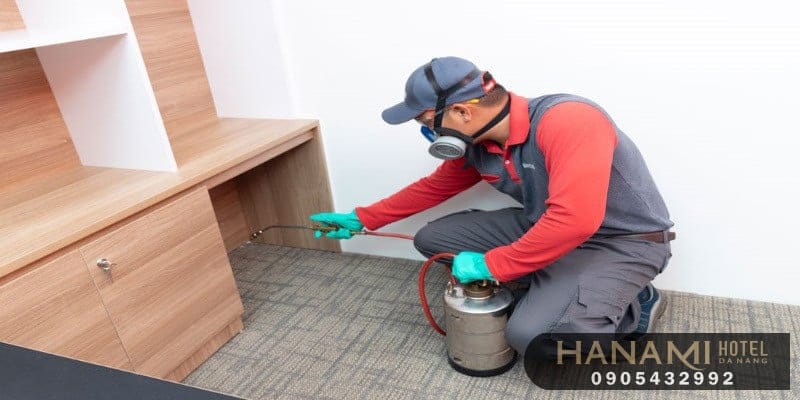 ant extermination services in da nang 