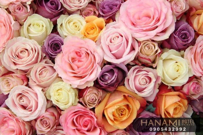 Các lẵng hoa khai trương đẹp