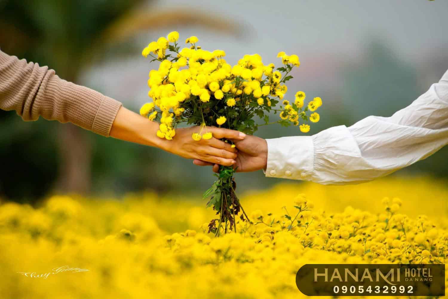 các loại hoa cúc