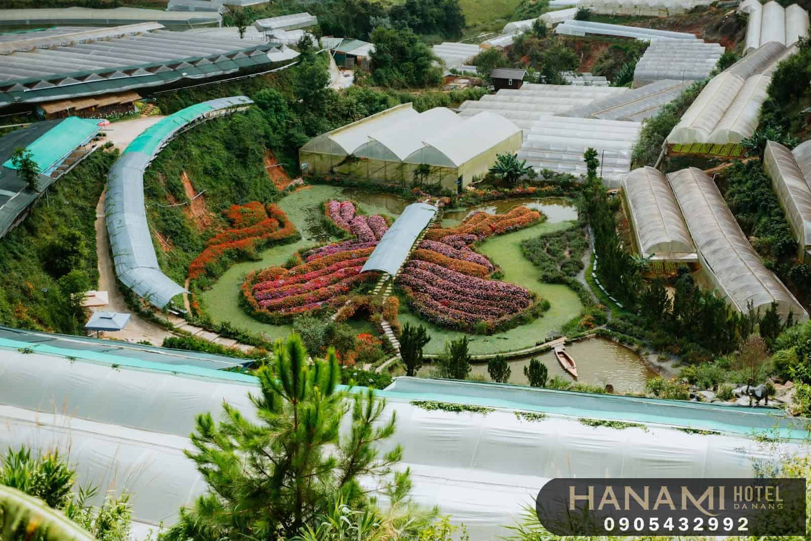 các loại hoa đà lạt