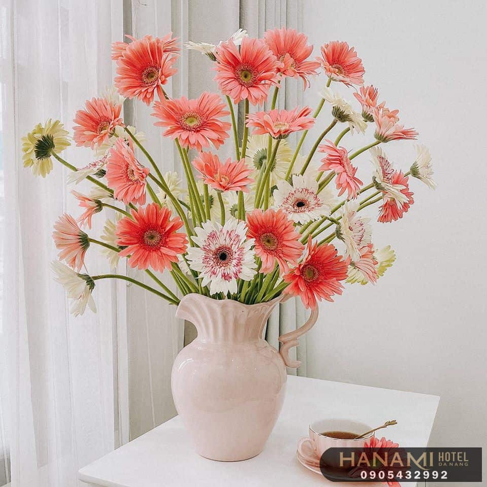 Hướng dẫn thực hiện cách cắm hoa đồng tiền đơn giản tại nhà 5 cách cắm hoa đồng tiền đơn giản