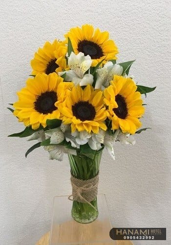 Hướng dẫn cách cắm hoa hướng dương 5 bông đơn giản 2 cách cắm hoa hướng dương 5 bông