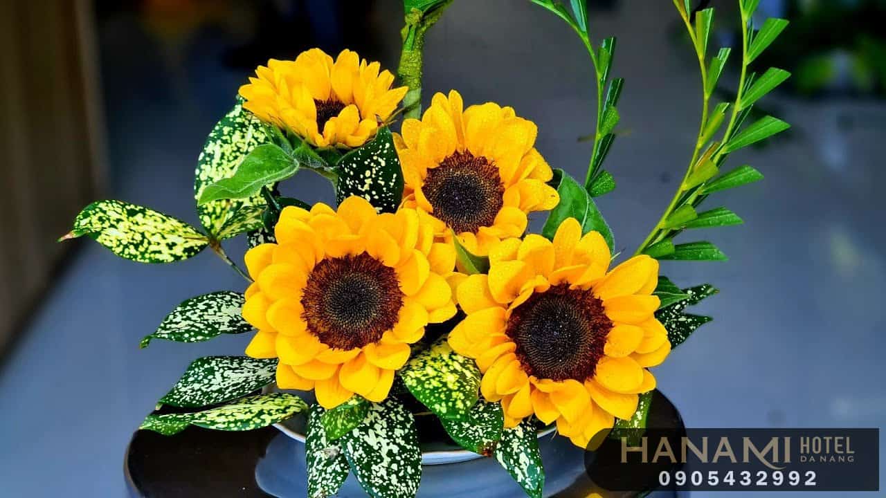 Cách cắm hoa hướng dương đẹp