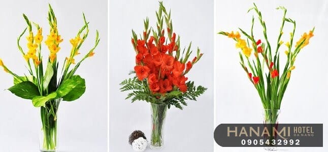 cách cắm hoa lay ơn