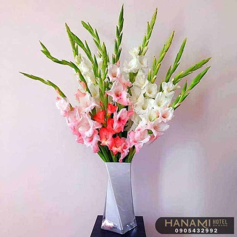 cách cắm hoa lay ơn