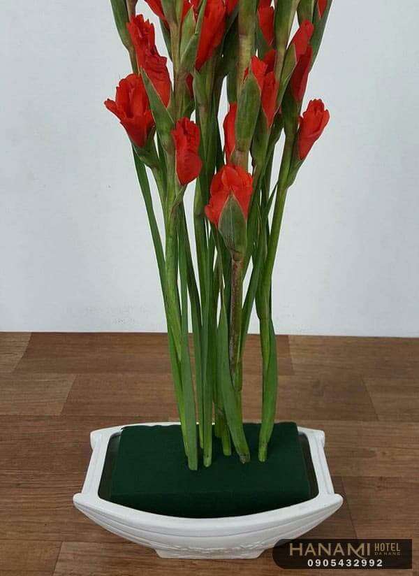 cách cắm hoa lay ơn