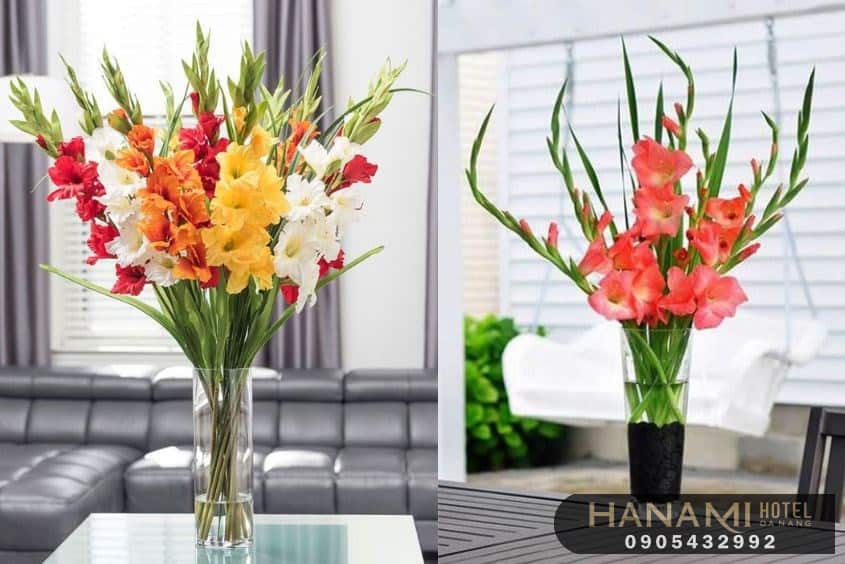 cách cắm hoa lay ơn