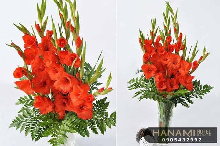 cách cắm hoa lay ơn