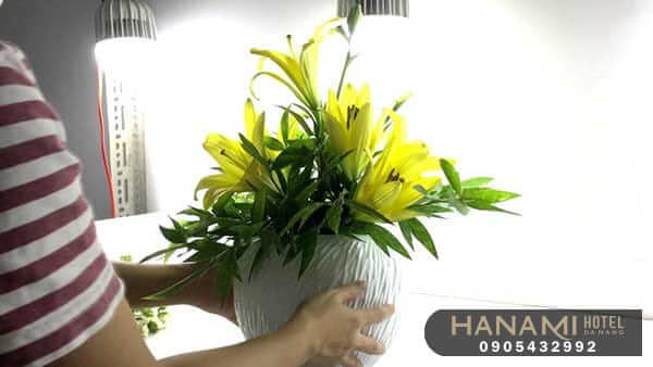 cách cắm hoa ly