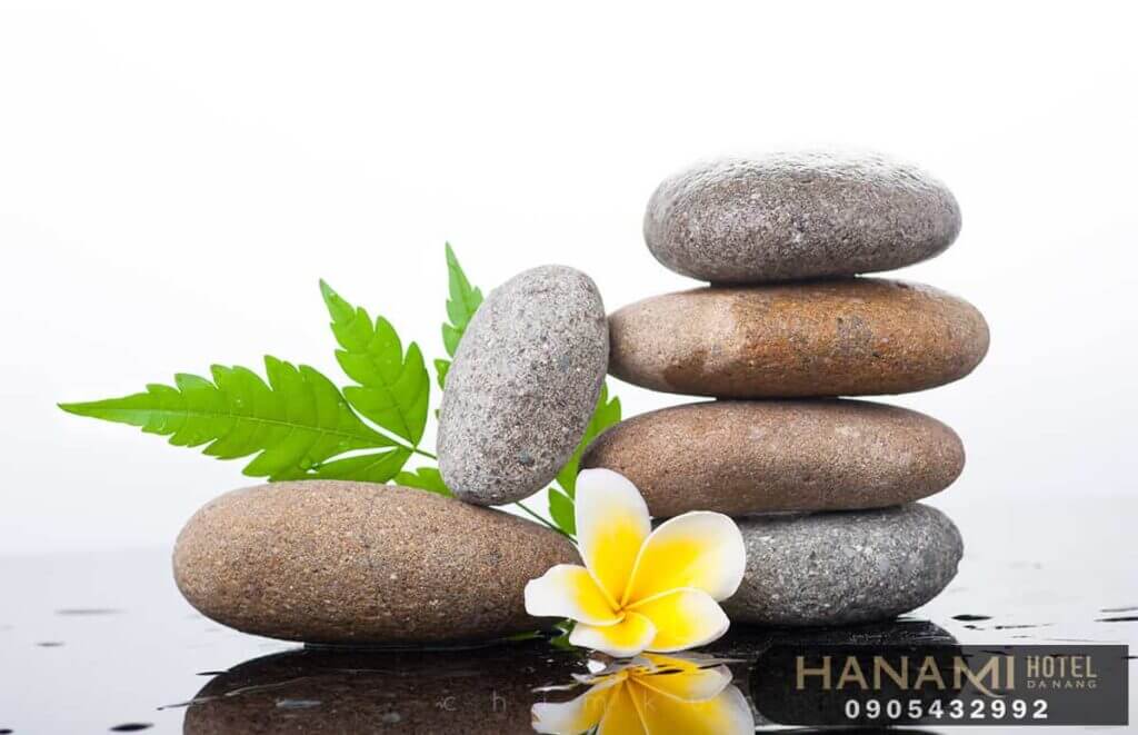 10 cửa hàng bán hạt giống hoa Đà Nẵng Chất lượng 1 cửa hàng bán giống hoa