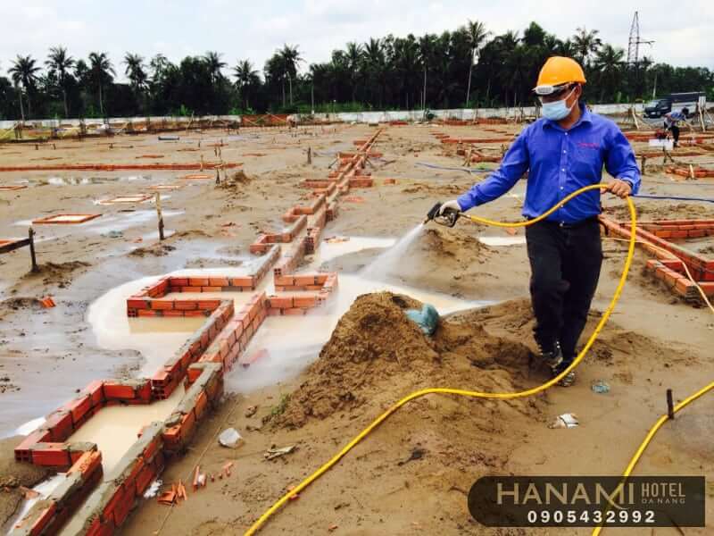 dịch vụ diệt kiến tại Đà Nẵng