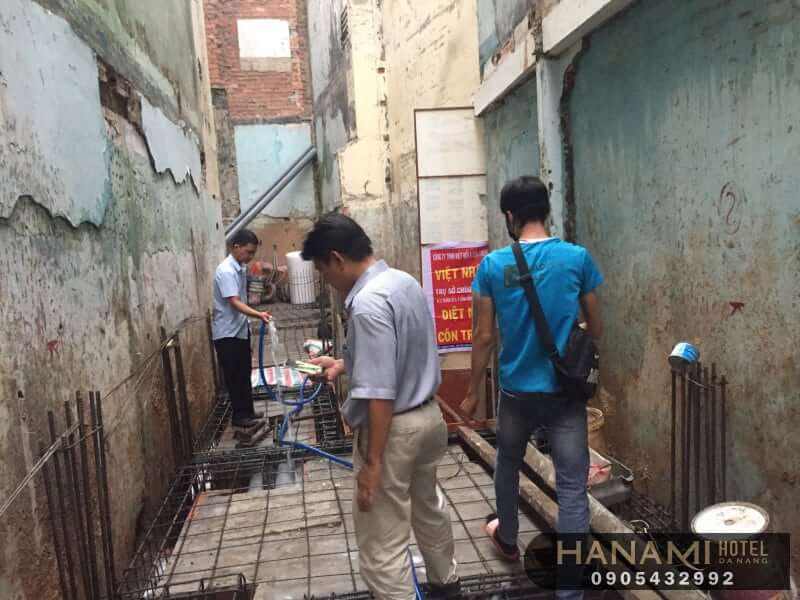 dịch vụ diệt kiến tại Đà Nẵng