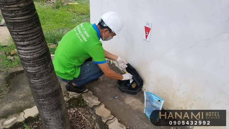 dịch vụ diệt kiến tại Đà Nẵng