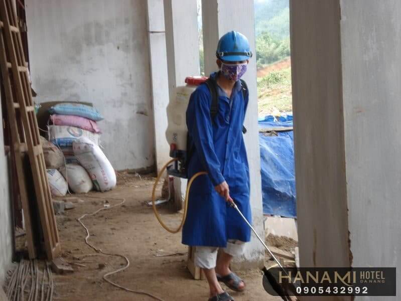 dịch vụ diệt kiến tại Đà Nẵng