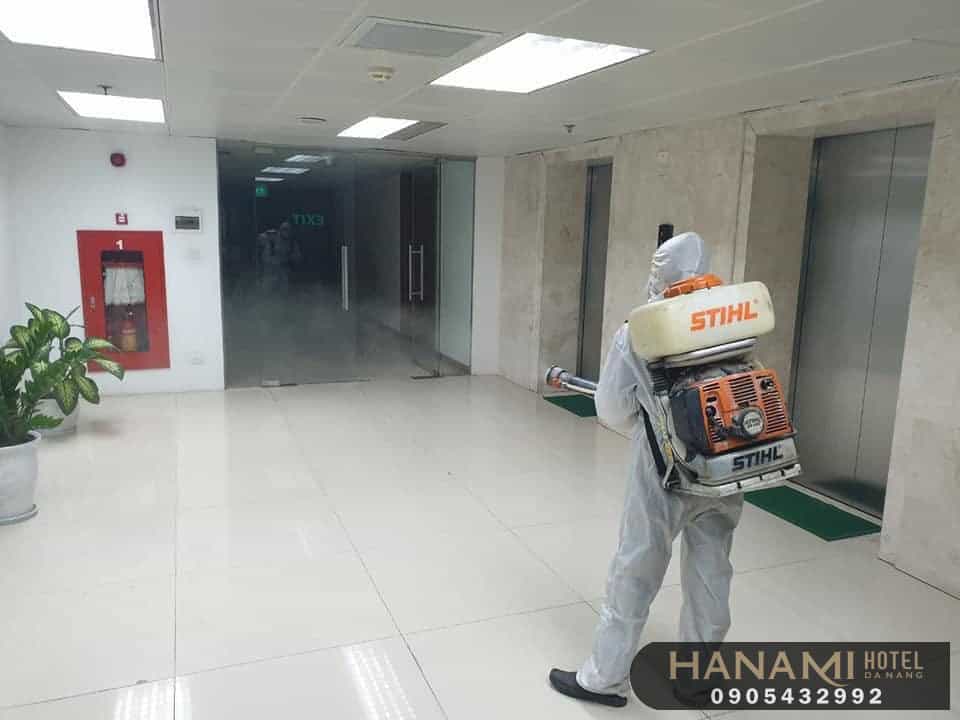 dịch vụ diệt kiến tại Đà Nẵng