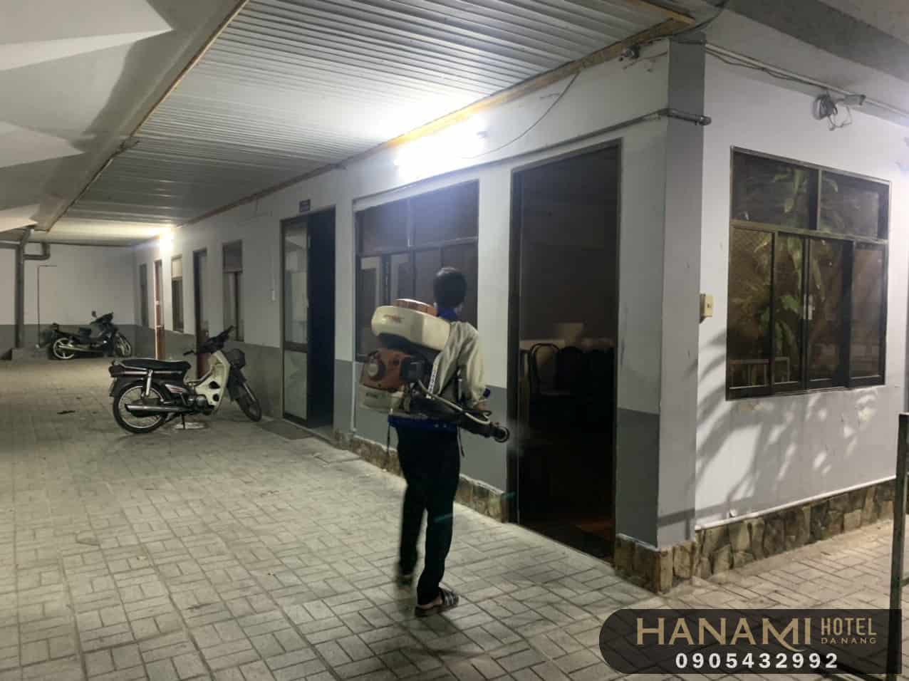 dịch vụ diệt kiến tại Đà Nẵng