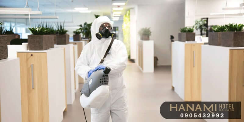 dịch vụ diệt kiến tại Đà Nẵng
