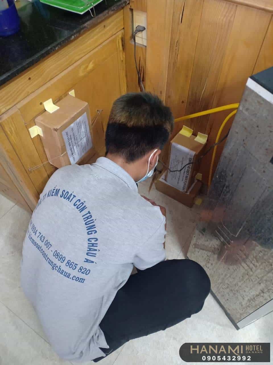 dịch vụ diệt kiến tại Đà Nẵng