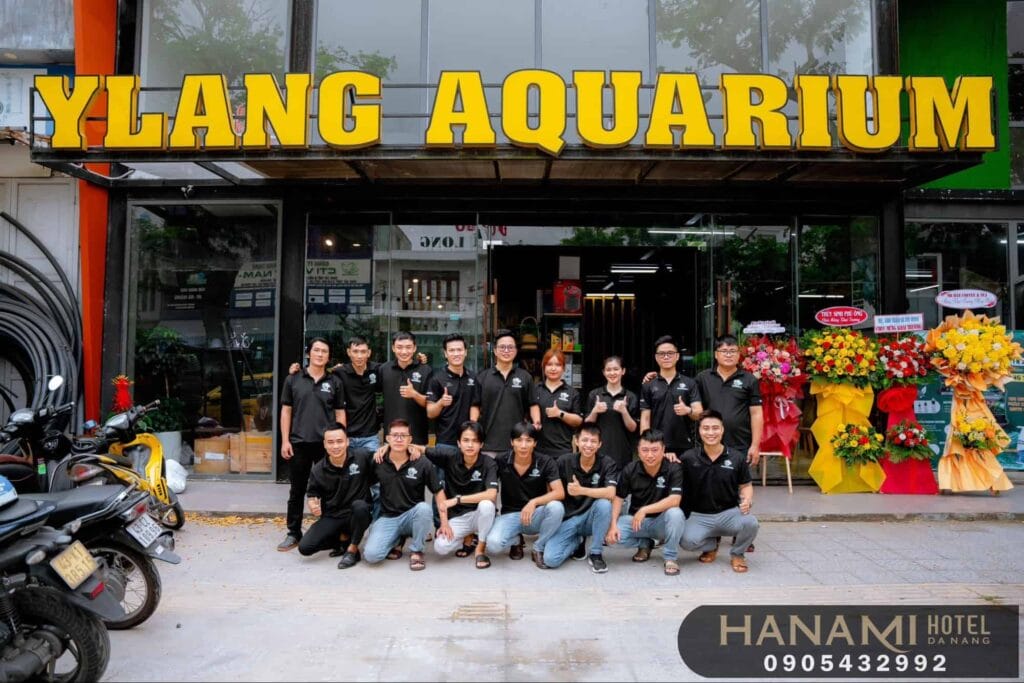 food stores for fish in da nang