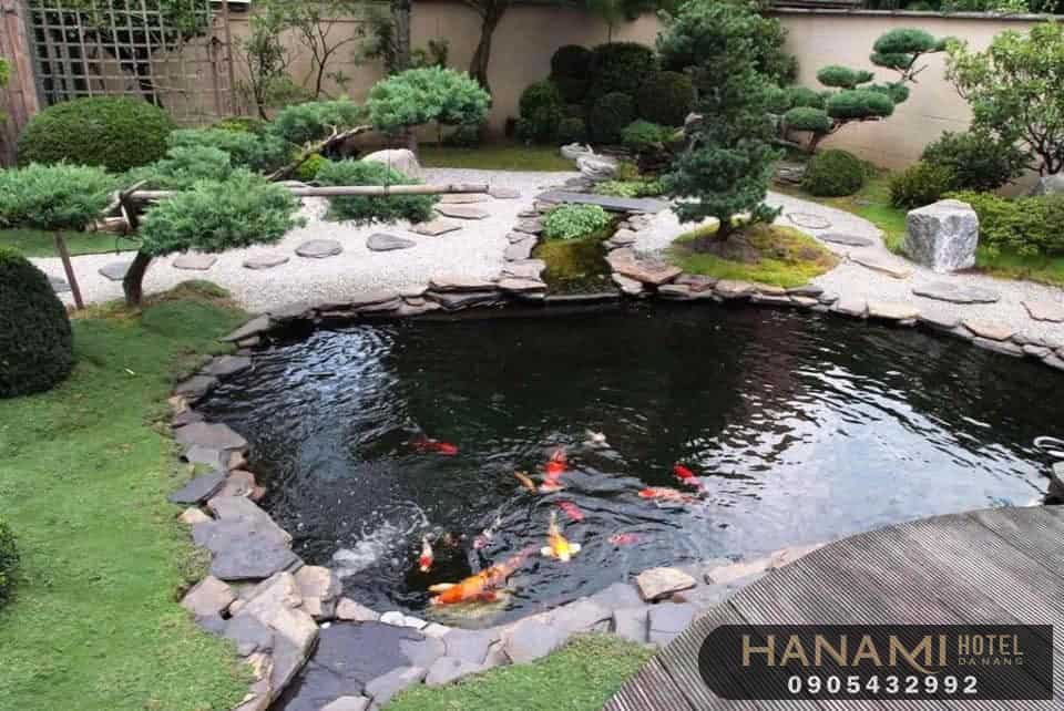 food stores for fish in da nang