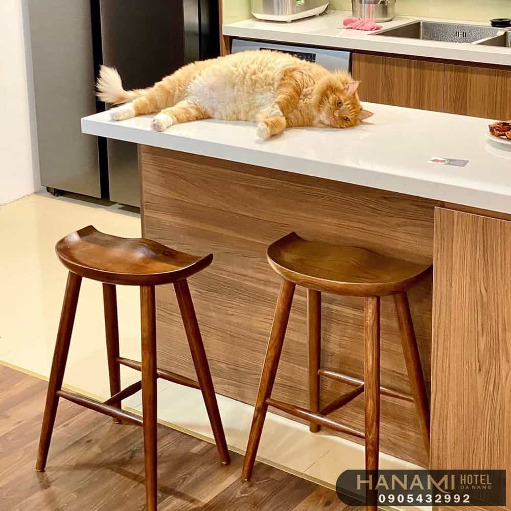 Khám phá top 10 địa chỉ mua sắm ghế quầy bar tại Đà Nẵng uy tín và chất lượng 9 ghế quầy bar tại đà nẵng