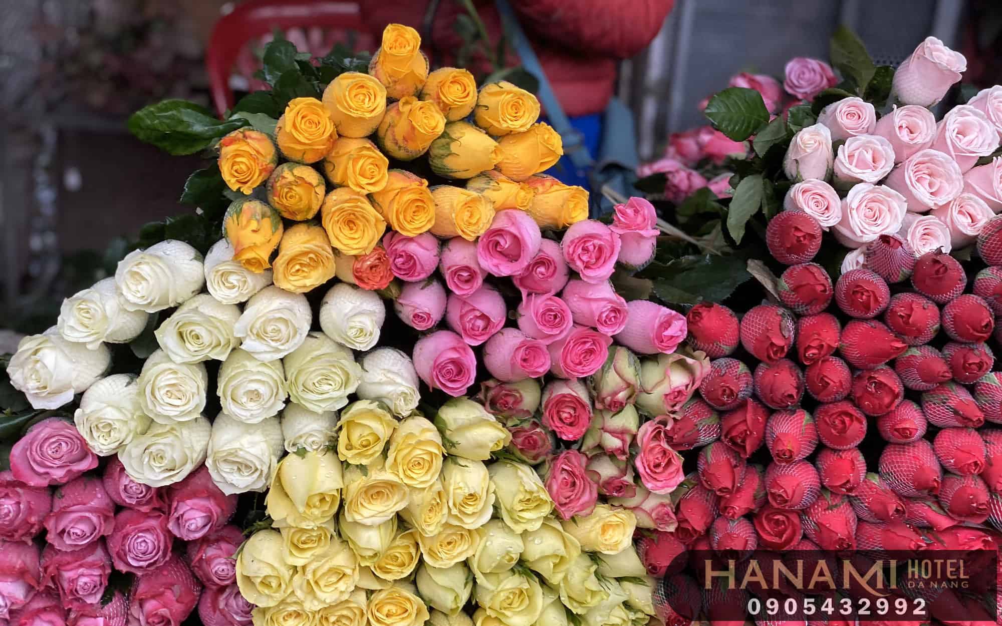 hoa Đà Lạt đẹp nhất