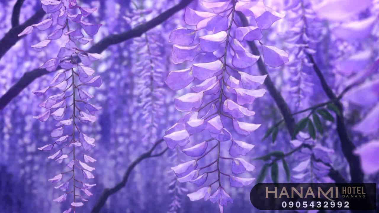 Bỏ túi 1 số ý nghĩa của các loài hoa trong tình yêu 7 ý nghĩa của các loài hoa trong tình yêu