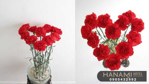 hướng dẫn cách cắm hoa cẩm chướng