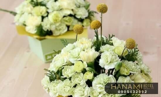 hướng dẫn cách cắm hoa cẩm chướng