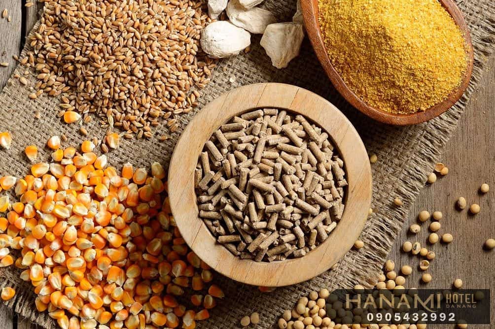 10 cửa hàng thức ăn cho cá tại Đà Nẵng 1 thức ăn cho cá tại đà nẵng