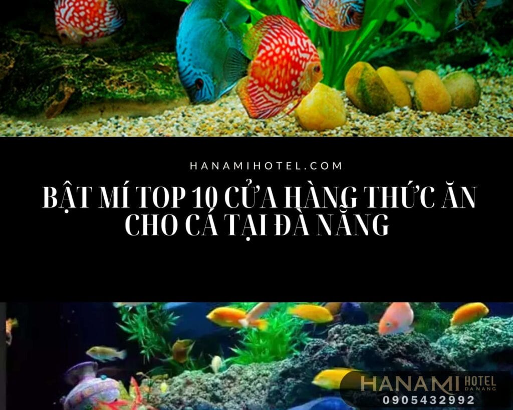 thức ăn cho cá tại đà nẵng