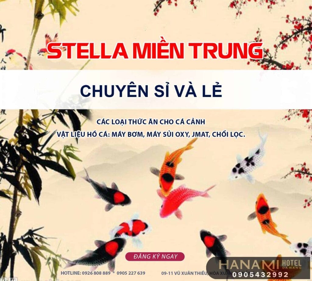 10 cửa hàng thức ăn cho cá tại Đà Nẵng 6 thức ăn cho cá tại đà nẵng