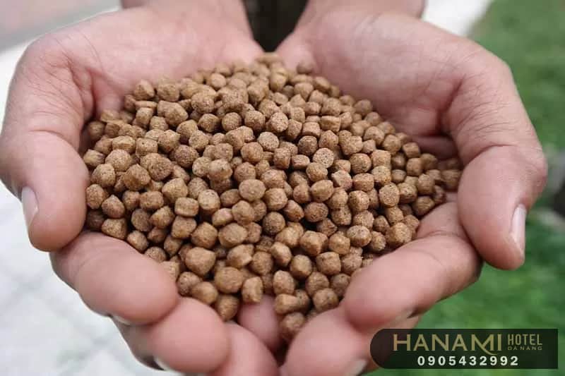 10 cửa hàng thức ăn cho cá tại Đà Nẵng 5 thức ăn cho cá tại đà nẵng