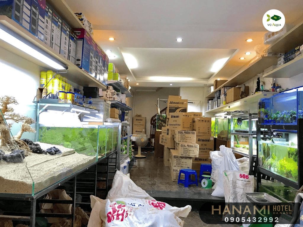 10 cửa hàng thức ăn cho cá tại Đà Nẵng 11 thức ăn cho cá tại đà nẵng