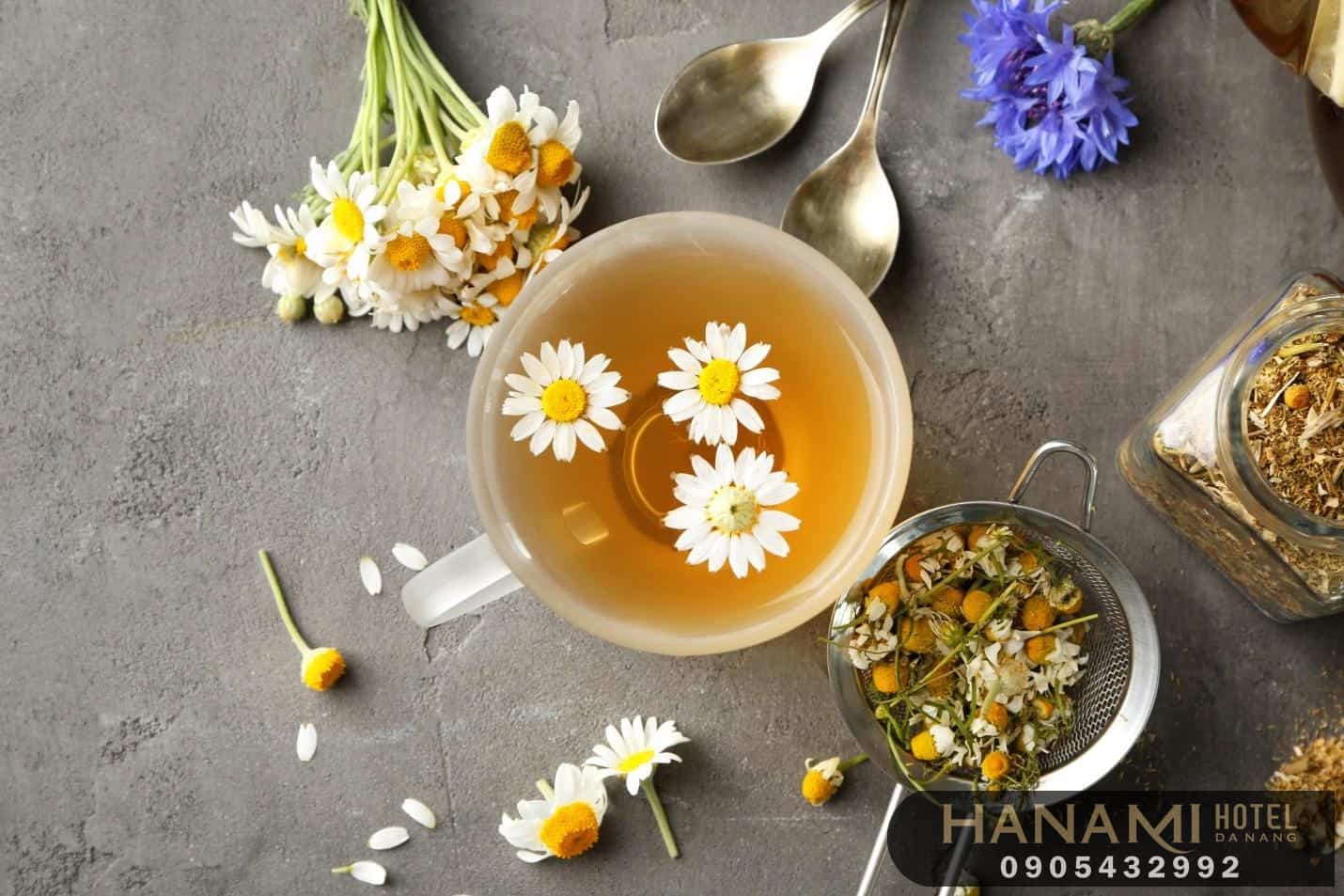  ý nghĩa của các loài hoa trong cuộc sống