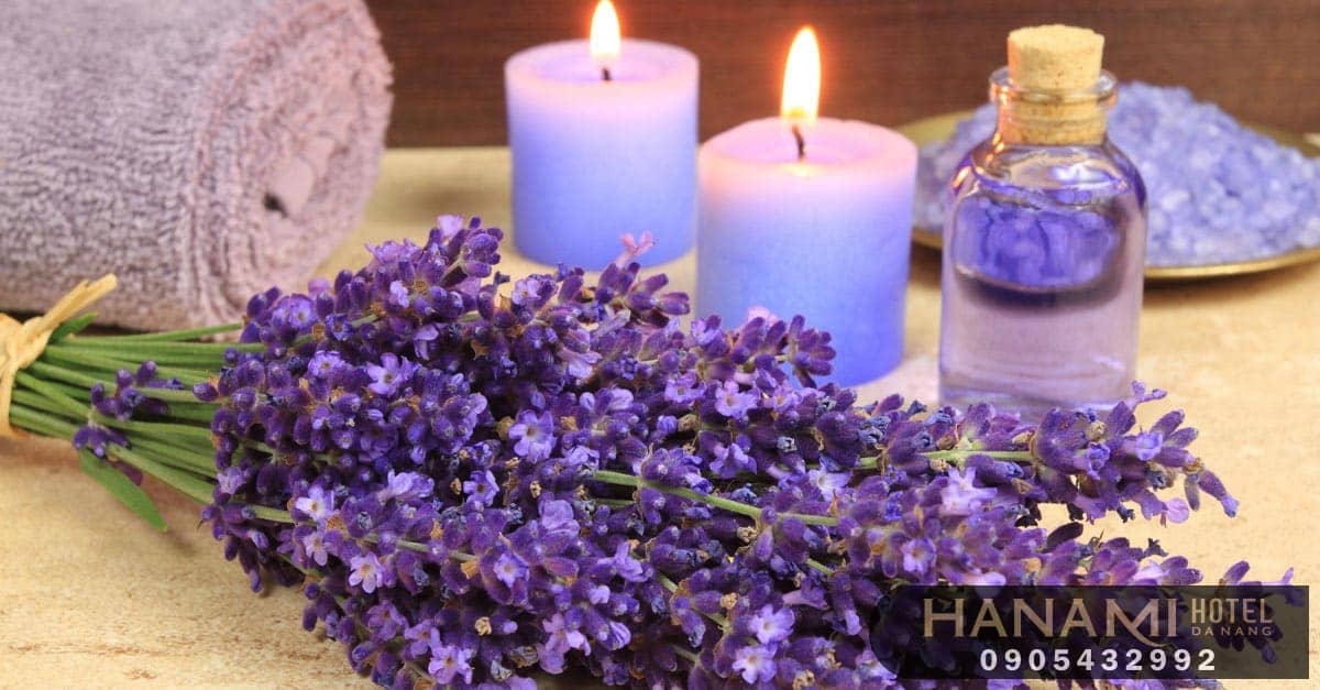  ý nghĩa của các loài hoa trong cuộc sống